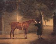 John Ferneley Mr Wombell's Hunter with a Groom in a Courtyard oil painting picture wholesale